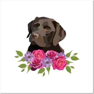 Chocolate Labrador Posters and Art